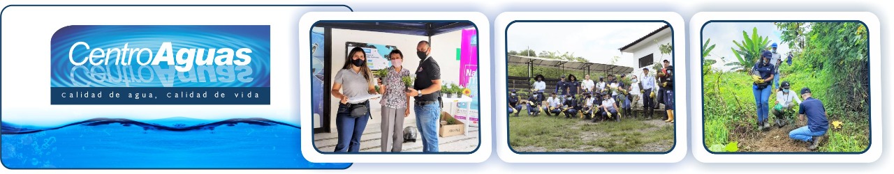 diseño con tres fotografías de la entrega de plantas y la siembra en terreno 