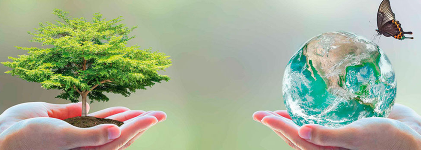 Imagen de dos manos, una sosteniendo un árbol y la otra sosteniendo el planeta dibujado con agua y una mariposa 