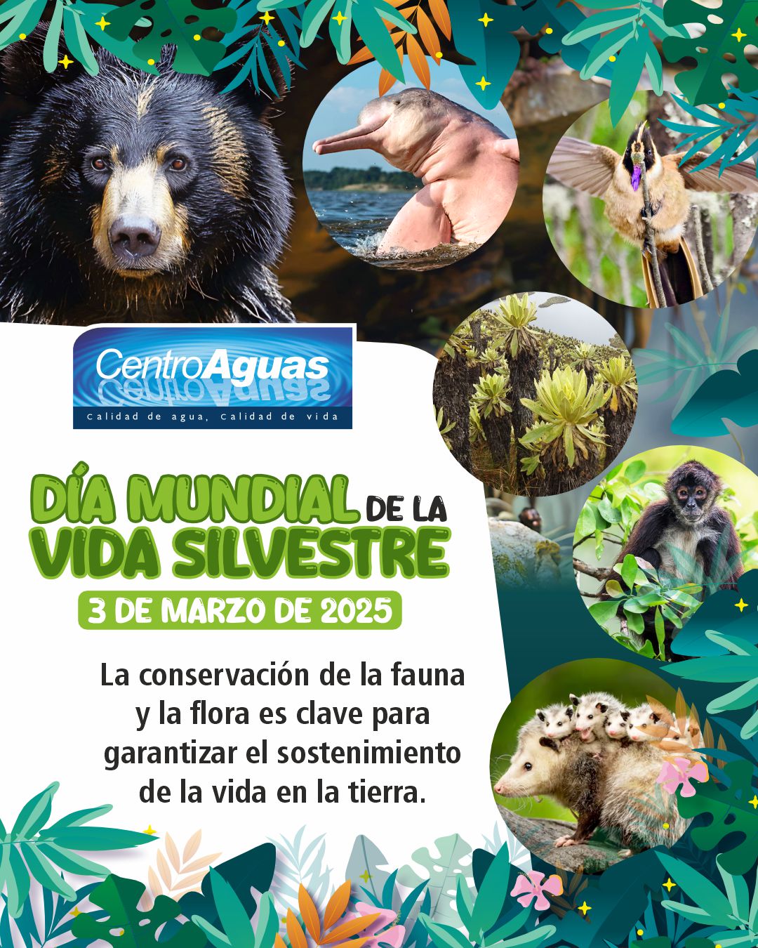 Día Mundial de la Vida Silvestre