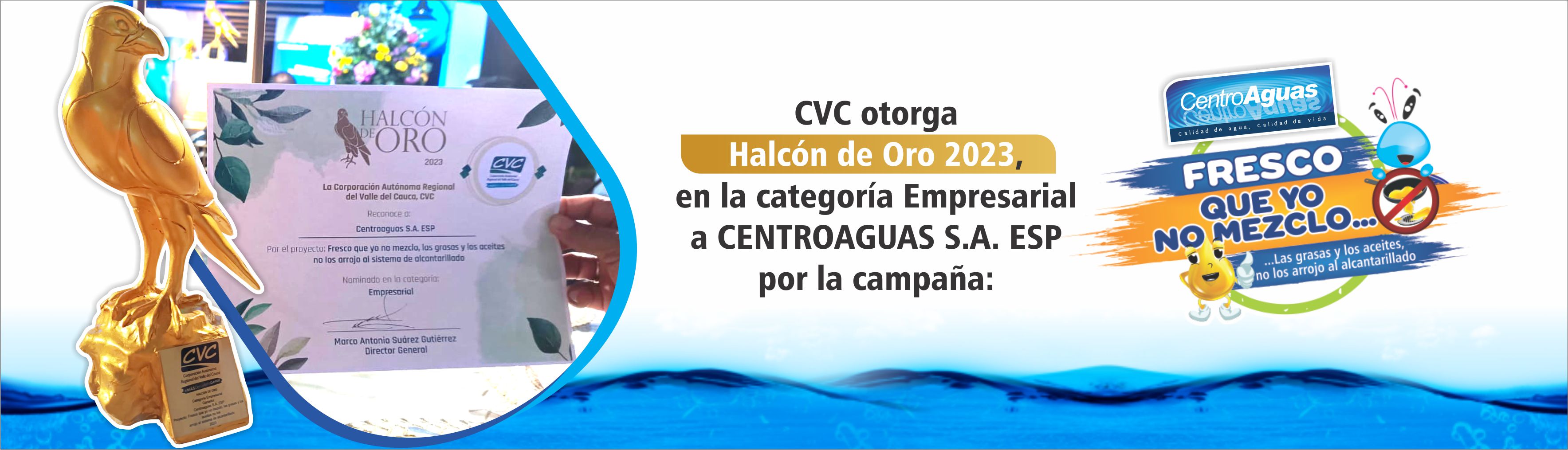 1AA_Ganadores_Halcn.jpg